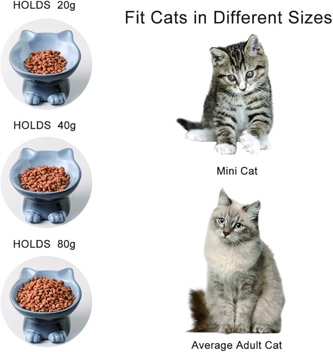Nihow Elevated Cat/Dog Bowls: 5 Inch Ceramic Raised Cat Food & Water Bowl Set for Protecting Pet's Spine - Feeding & Watering Supplies for Pets - Elegant Gray (4.5 OZ /1 PC)