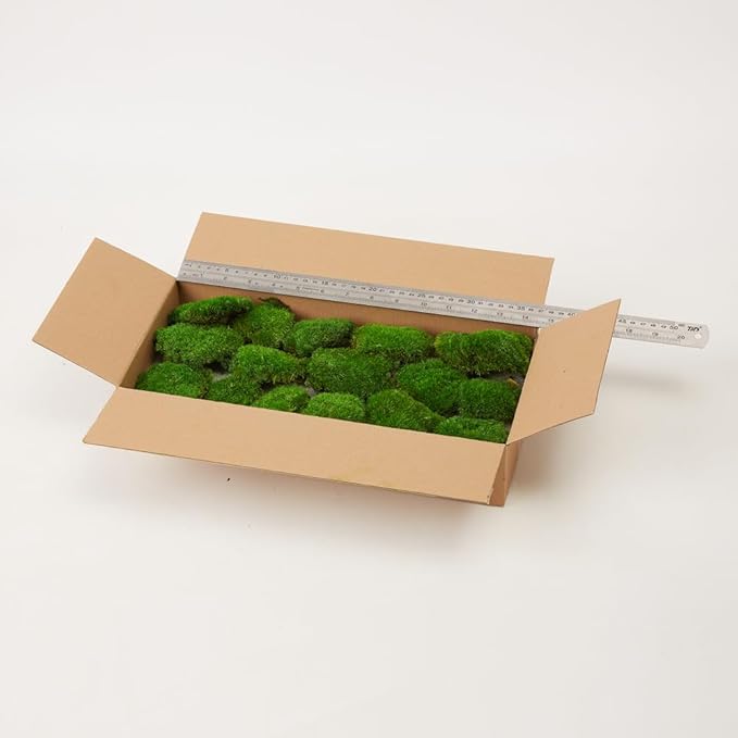 Preserved Pole Moss Pillow Bun Cushion Natural Green Decorative Real Natural Green DIY Kit Gardenning Art Wall Decor Florist Decor Easter Table Decor Wedding (1.5 sq.ft, Green-D)