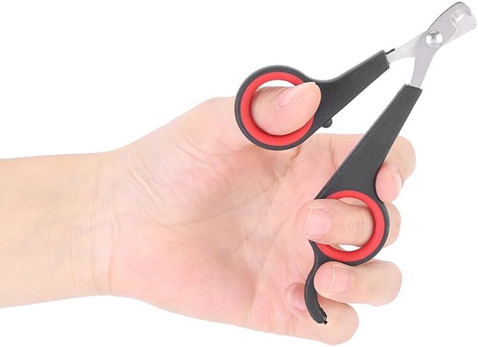 Solid Stainless Steel Bird Nail Clipper, Bird Cage Essential Accessories, Bird Grooming Tool Accessory for Pet Store & Parrot