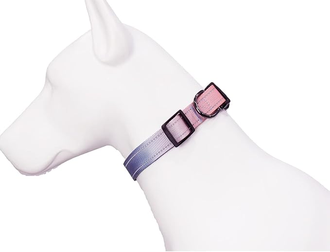 Roses&Poetry Reflective Dog Collar with Gradient Azure, Adjustable Durable Pet Collars for Small Medium Large Dogs (Azure-L)