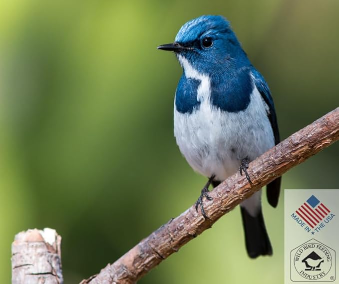 Blue Seal Concerto Wild Bird Seed | Premium High-Energy Blend | No Fillers, Corn-Free | Attracts a Wide Variety of Wild Outside Birds | Convenient Shell-Free Mix | Made in USA | 20 Pound Bag