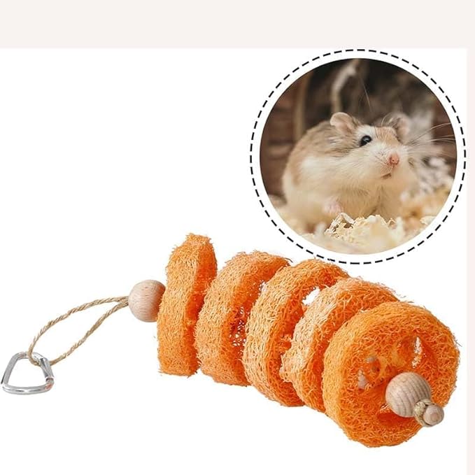 2PCS Fruit Flavor Loofah Chew Toys Guinea Pig Chew Toys for Teeth Rabbit Toys Guinea Pig Toys (Orange)