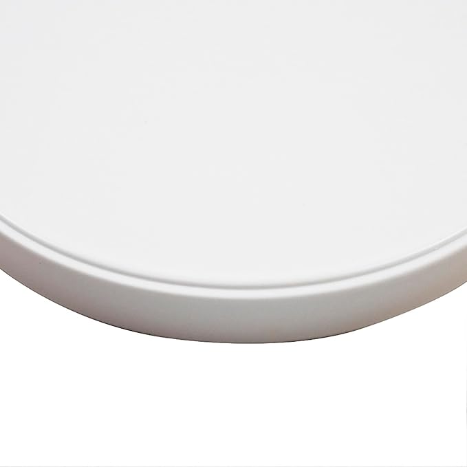 OMEM Reptile Food Bowl Water Dish,Feeding Dish, Birds Bowl (L, White)