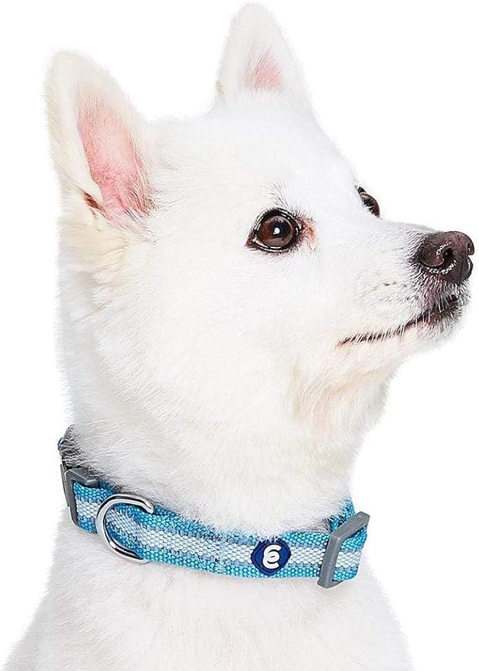 Blueberry Pet Essentials Matching Large Dog Collar | Adjustable Classic Solid Color Nylon Dog Collars for Large Dogs | Reflective Sky Blue Dog Collar for Large Dogs