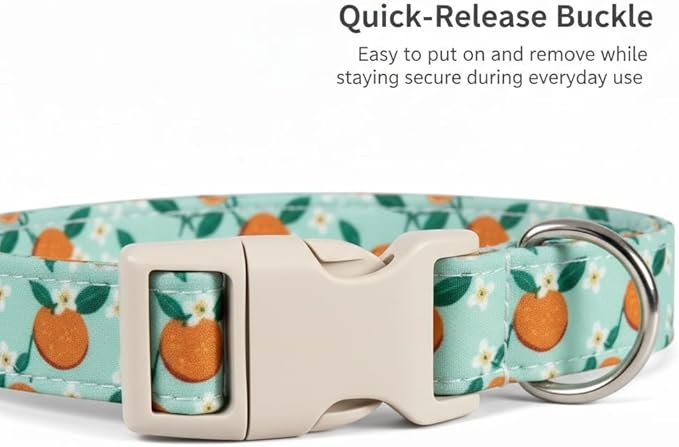 Dog Collar, Spring Summer Dog Collar with Orange Print and Charm, Cute Spring Summer Fruit Collar with Soft & Breathable Fabric, Adjustable Pet Collar for Medium Dogs