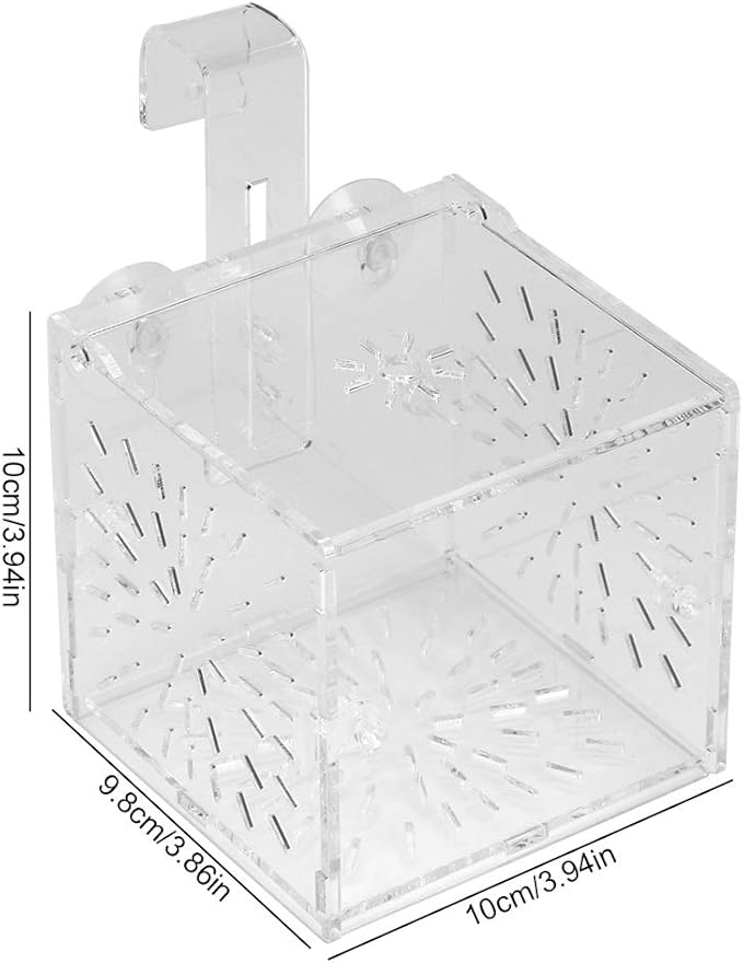 GLOGLOW Aquarium Breeding Isolation Box, Transparent Acrylic Fish Isolation Box Fish Separator with Suction Cups for Small Baby Fishes Shrimp Clownfish Guppy(10CM*10CM*10CM)