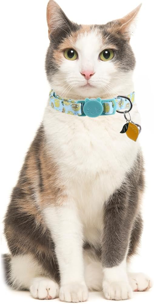 3 Pack Cat Collar Fruits with Bell Pendant Breakaway Adjustable Accessory for Cats Kitten Kitty
