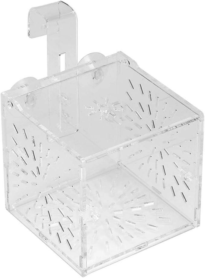 GLOGLOW Aquarium Breeding Isolation Box, Transparent Acrylic Fish Isolation Box Fish Separator with Suction Cups for Small Baby Fishes Shrimp Clownfish Guppy(10CM*10CM*10CM)