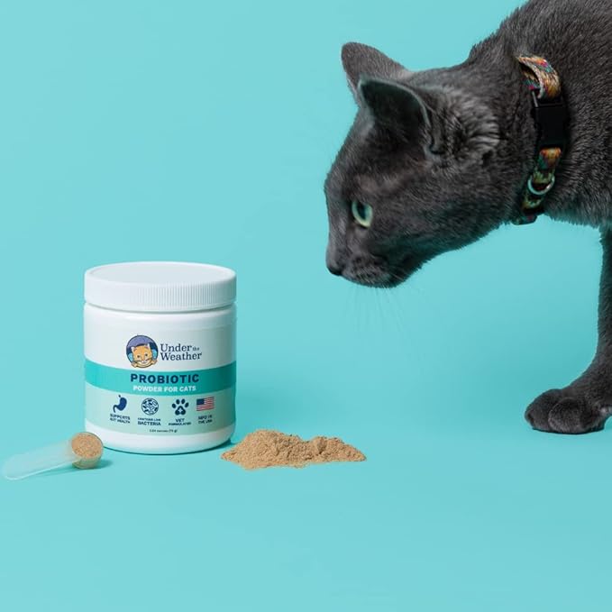 Under the Weather Pet Probiotics Powder for Cats | Vet Formulated Probiotic Supplement for Digestive Gut Health | Promotes Good Digestion & Immunity | Aids Occasional Diarrhea for Cats (2.54 Oz)