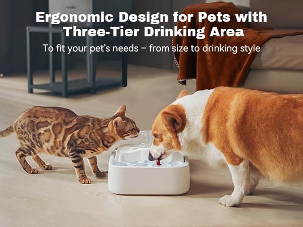 Oxygen-Riched Water Fountain for Cats Drinking Healthy, Pet Water Dispenser 3-Tired RealFountain Bowl Pro Indoor with Dual Pumps Quiet, Filter and Sponge Replaceable BPA-Free 2L/67 oz