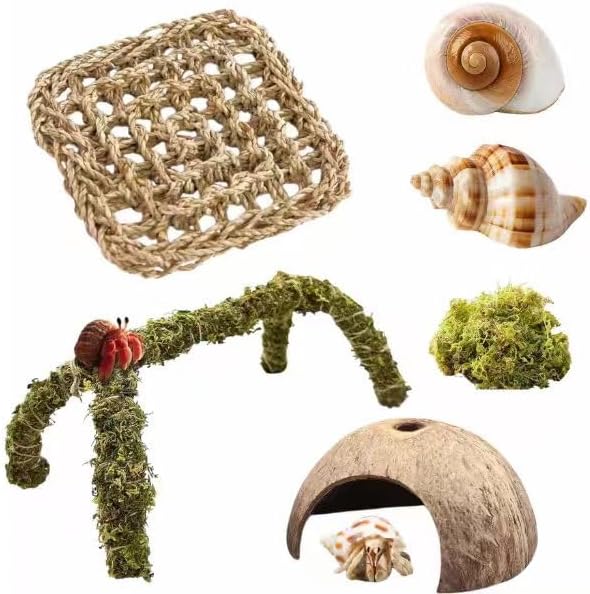 Hermit Crab Accessories, Natural Hermit Crab Toys Reptile Hammock,Coconut Shell Hideout Decor for Hermit Crabs Leopard Geckos, Crested, Tortoise, Snake (B-Group -6Pcs Hammock)
