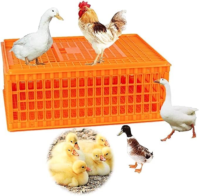 Poultry Carrier Crate Plastic Chicken Transport Crate Carrier Cage for Poultry Chicken Bird Duck