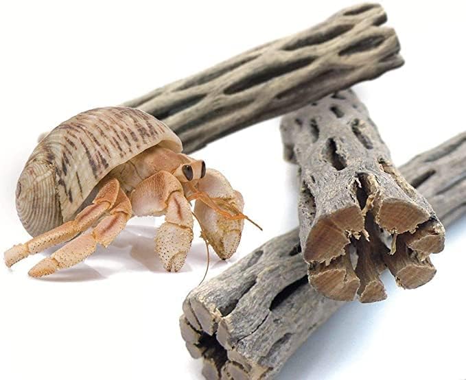 SunGrow Hermit Crab Woods, Climbing Logs, Chews, Keep Hermies Busy and Active, Long Dried Aquarium Décor Adds Raw Beauty (6 Pieces, 6 inches)