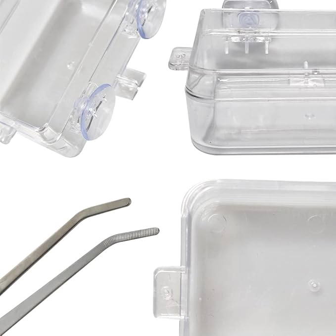 Chameleon Bowl and a Reptile Feeding Tongs 2pcs Feeder and Water Cups with Suction for Iguana Lizard Gecko Worm