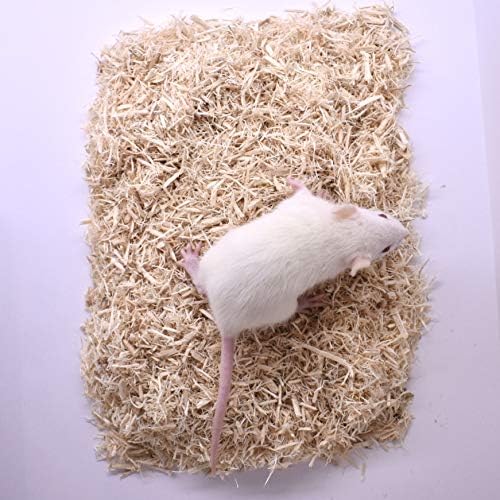 MiceDirect- Rat Weanlings- Fresh Fast Frozen Food Feeders for SubAdult Ball Python Red Tail Boa Monitor Lizard Birds of Prey Pet Reptiles (3.5-4.5 (Pack of 100))