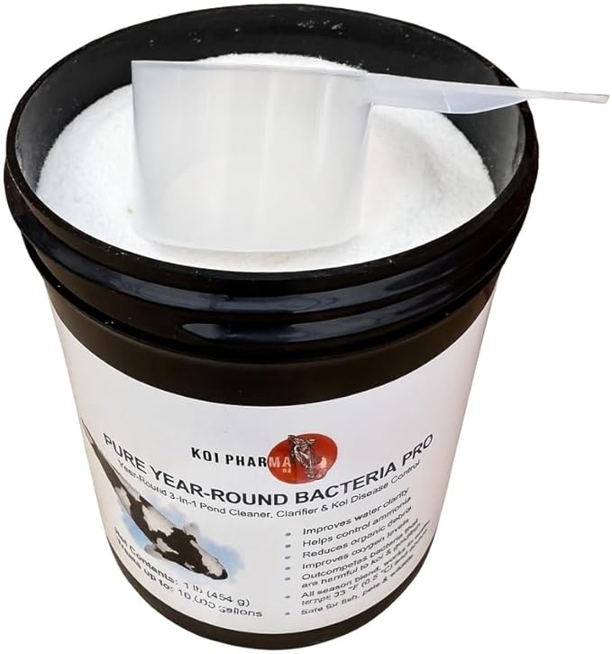Koi Pharma® Pure Year-Round Bacteria Pro – All-Season Beneficial Pond Bacteria for Clear Water, Sludge Control & Healthy Koi and Goldfish (1 Pound)