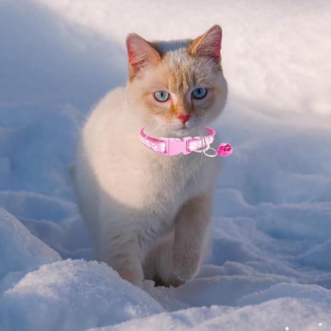 MJIYA Cat Collar with Bell, Breakaway Grid Collar with Plastic Buckle, Light Adjustable, Nylon, Kitty Collars