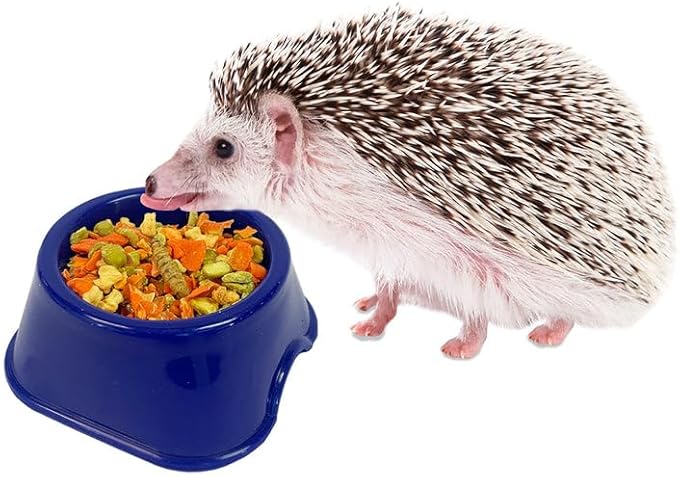 Exotic Nutrition Starter Package for Hedgehogs - Includes Exercise Wheel, Healthy Food, Natural Treat, Multi-Vitamin & Hideout