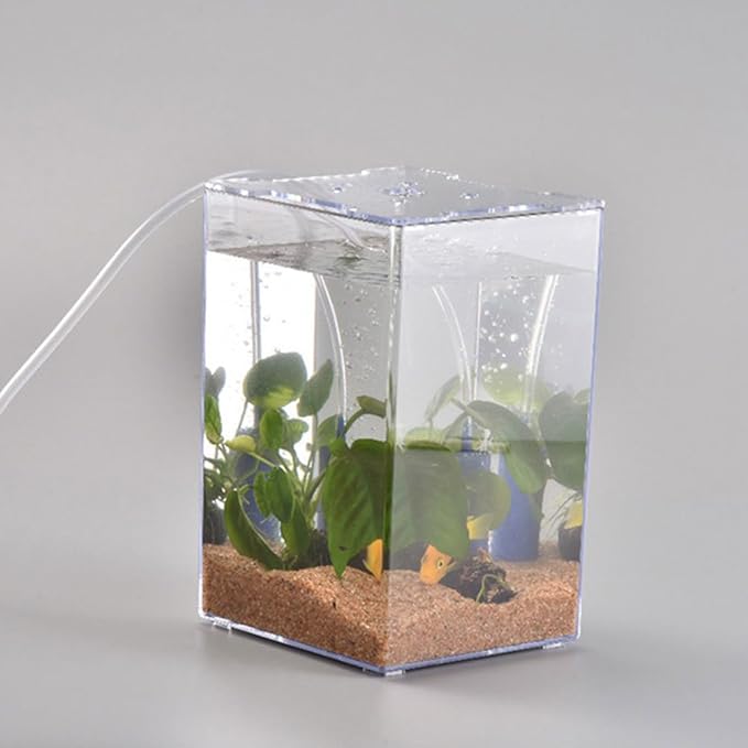 Acrylic Fish Breeding Box-1pc Acrylic Fish Isolation Box Tank Desktop Aquarium Betta Tank Small Aquarium Miniature Turtle Tank Mini Bowl Container