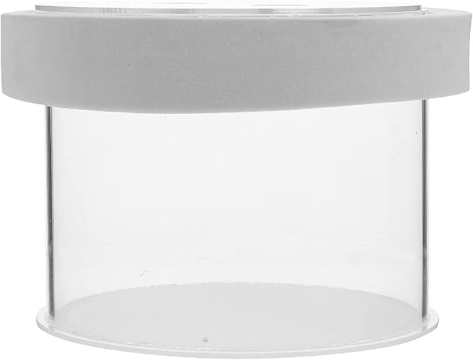 Breeder Box for Fish Tank : Acrylic Floating Aquarium Breeding Box Transparent Fish Tank Hatchery Incubator for Clownfish Guppy Shrimp, 4.72X4.72X3.14in
