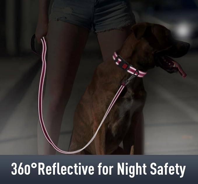 Airtag Dog Collar with AirTag Holder for Medium Dogs, Reflective, Soft Padded & Safety Locking Buckle, Nylon Pet Collars Adjustable for All Breeds, Hotpink,M