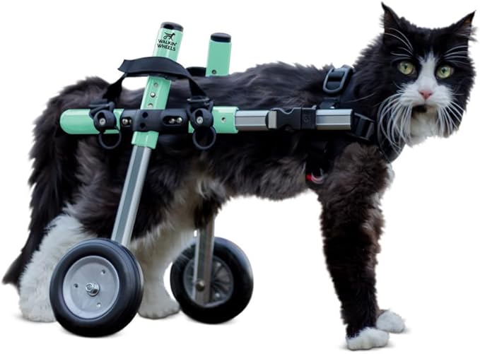 Walkin' Wheels Lightweight – for Small Cats 2 to 20 Pounds – Veterinarian Approved – Cat Wheelchair for Back Legs, for Cats 11-20 lbs, 9-13 inches Leg Height – Seafoam