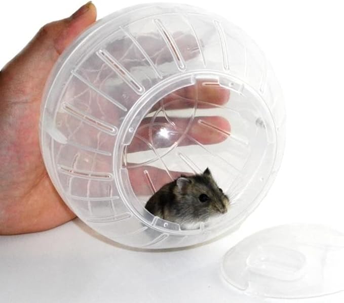 Hamster Exercise Ball Silent Hamster Wheel Small Animals Transparent Ball for Dwar Rat Relieves Boredom and Increases Activity (4.8 inch, Clear)