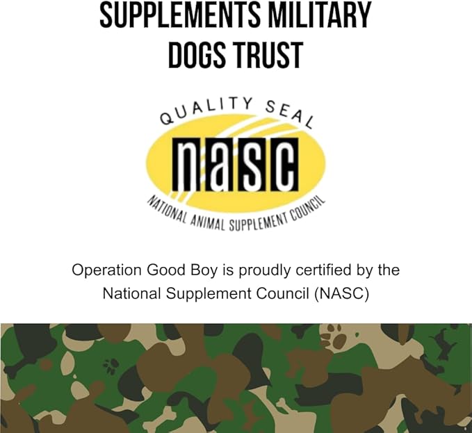 Operation Good Boy Probiotics for Dogs, Digestive Health Supplement for Pets, Daily Probiotic Chews – 90 Soft Treats, Natural Ingredients, Veteran Owned - Beef Flavored