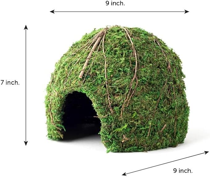 Galápagos (05368) Mossy Dome Hide - Natural Corner Cave for Reptile Enclosures, Terrariums, and Tanks, 9", Vined Green Moss