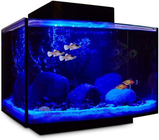 Imagitarium Platform Freshwater Aquarium Kit, 6.6 GAL