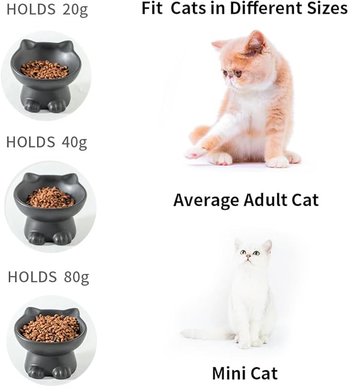 Nihow Slanted Elevated Cat Bowls: 5 Inch Ceramic Raised Cat Food Bowl for Protecting Pet's Spine - Microwave & Dishwasher Safe -Matte Black (4.5 OZ /1 PC)