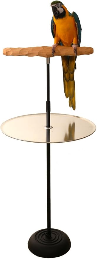 Parrot Training Perch Stand with Potty Tray (T Perch, Small)