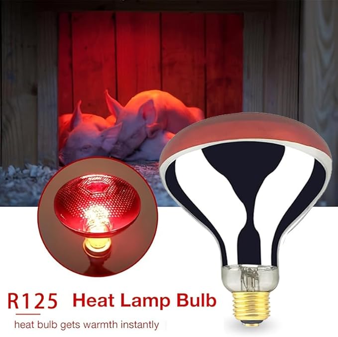 Heat Lamp Bulb R40 125 Watt 2 Pack Painted Red Infrared Glass Lamp Bulb for Food Service, Brooder Bulb, Chicks, Pet, Bathroom.