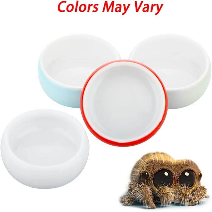 4 Pcs Hermit Crab Colorful Food Bowl Tarantula Water Bowl Spider Micro Ceramic Dish