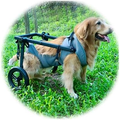 Pet Trolley Adjustable Hind Leg Disabled Dog Mobility Aid Light Rehabilitation Legs Wheelchair Walk Tools(XX-Large)