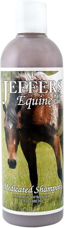 Jeffers Equine Antibacterial & Antifungal Medicated Horse Shampoo 16 Oz – Gentle Coconut Oil Based Grooming Shampoo for Horses, Daily Bathing, Show Prep, Trail, Stable, Coat & Skin Care