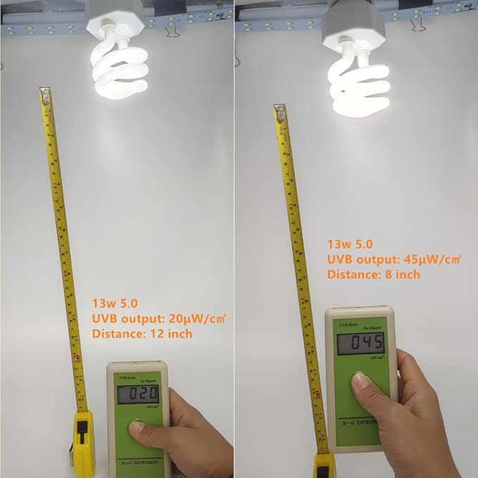 Leoterra Reptile UVB Light Bulb UVA UVB Reptile Lamp - 13W 5.0 Energy Efficient UVB Lamp for Geckos,Green Iguanas,Frog - E26 Base Dual Lighting Fixture with 8000H Long Lifespan