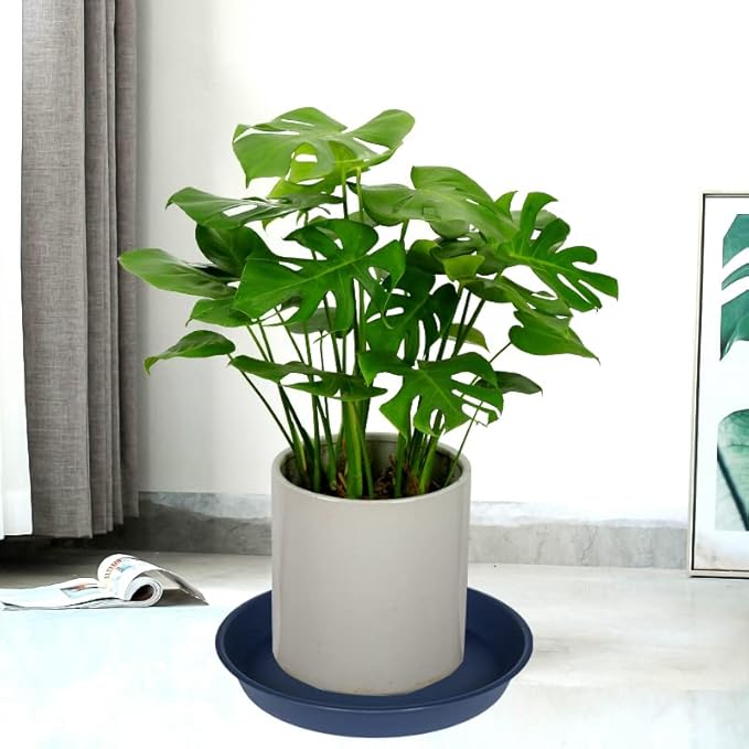 2 Pack of 8 inch Plant Saucer Clear, Heavy Duty Plastic Plant Water Tray 8 inch Round, Flower Plant Saucers for Indoors No Holes, Plant Dishes Saucer for Planter 7"/8" (8", Blue)