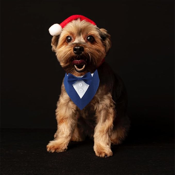 Dog Wedding Bandana, Formal Dog Tuxedo Adjustable Pet Collar with Bow, Small, Medium and Large Wedding Clothing, Birthday Gifts for Dogs (Medium, Blue)