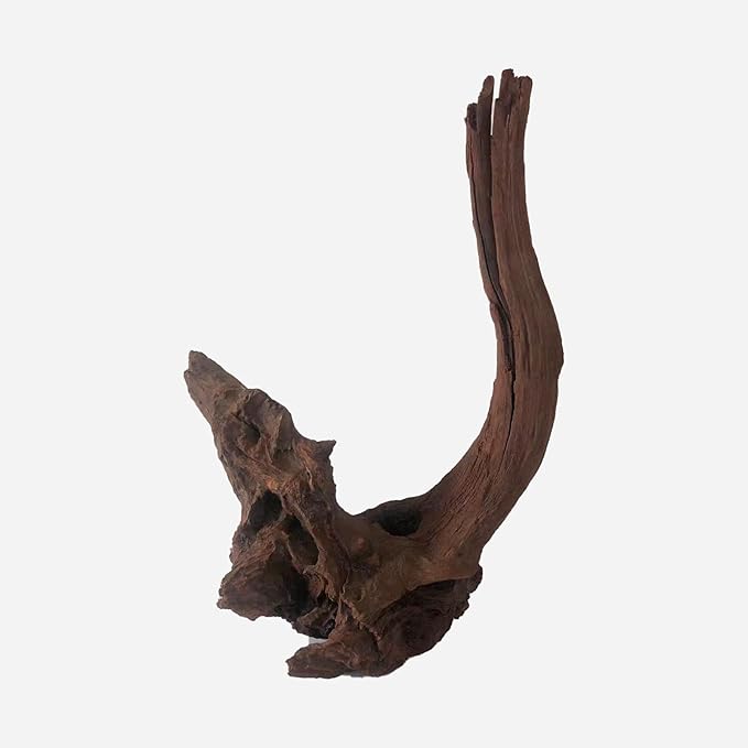 LYPHARD AQUARIUMS Natural Driftwood for Aquarium Decor, L12.2×W7.09×H18.5 Inches Large Drift Wood Decorations for Reptile Hide, Fish Tank, Optional Shapes