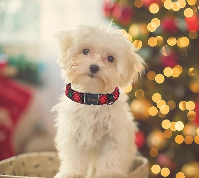 Unique style paws Dog Collar Metal Buckle Puppy Collar for Winter Christmas Red Green Plaid for Small Medium Large Boys Girls Dogs