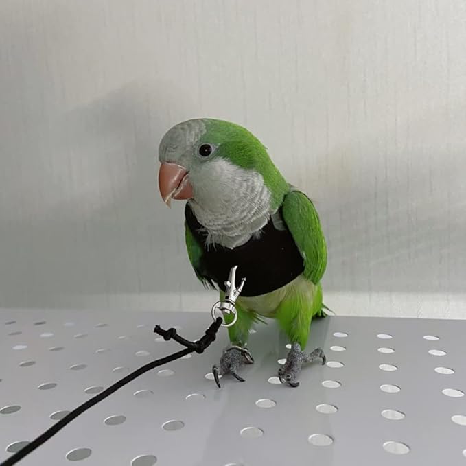Bird Flight Harness Vest, Parrot Flight Suit with Leash for Parakeets Cockatiels Conures Budgies, Bird Flying Clothes with Rope and Handle for Outdoor Activities Training, Anti Bite (Medium)