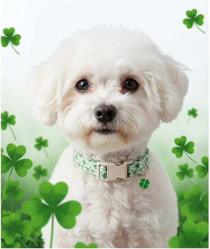 St. Patrick's Day Dog Collar, Cute Dog Collar with Green Clover Print for Small Dogs, Small Puppy Collar for Girl Dogs & Boy Dogs, S