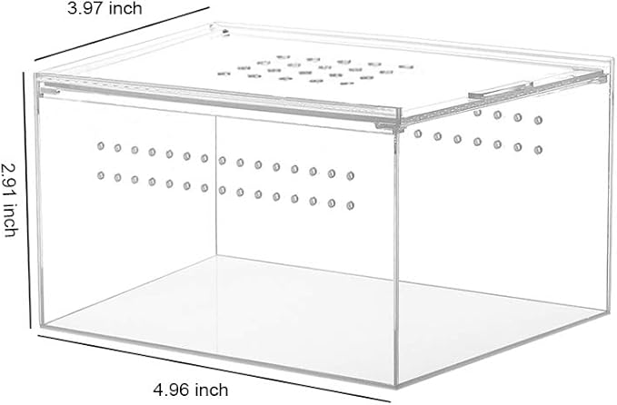NANEEZOO Acrylic Reptile Breeding Box, 5x4x3 Inch Nano Flat/Long Enclosure Transparent Reptile Breeding Box Terrarium Cage Tank for Tarantula Scorpion Sling Isopods Invertebrates Insect Mantis