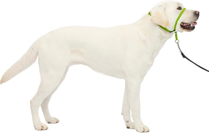 PetSafe Gentle Leader Headcollar No-Pull Dog Collar - Helps Improve Walks - Durable Nylon Construction - Padded Nose Loop - Adjustable Fit - Comfort Walking Halter - Large, Apple Green