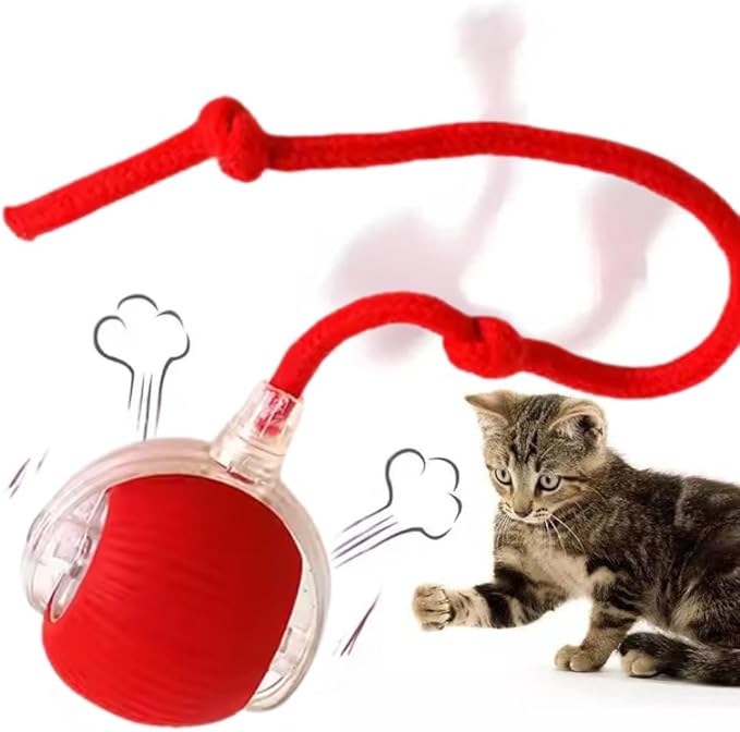 Interactive Pet Chase Toy - Rechargeable, Motion Ball, Self-Moving Kitten Toy for Indoor Interactive Playing, Smart Cat Rolling Ball