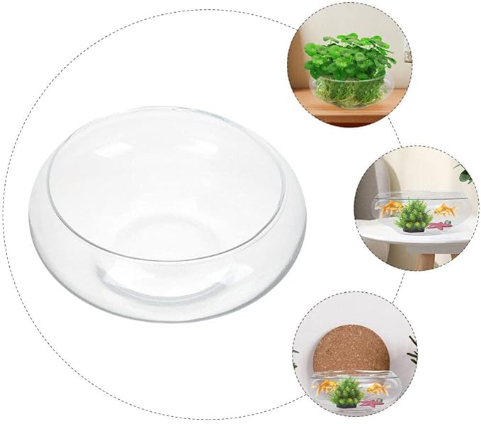 Glass Bubble Bowl - Wide Mouth Flower Vase Clear Bubble Planter Terrarium Aquatic Plant Pot Shallow Fish Tank for Centerpiece Hydroponic Succulent