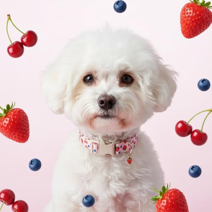 Small Dog Collar, Cute Dog Collar for Puppy, Extra Small & Small Dogs, Strawberry Blueberry Collar for Girl Female Dogs, XS