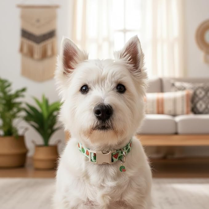 Summer Dog Collar for Large Dogs, Cute Dog Collar with Watermelon Pattern and Pendant, Green Pet Collar with Soft Cotton Fabric and Robust Buckle