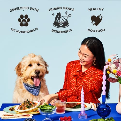 The Pets Table Human-Grade Chicken Casserole Fresh Dog Food, Dog Food Topper or Complete Meal, 6 Count of 34-oz Pouches, 12.7lbs